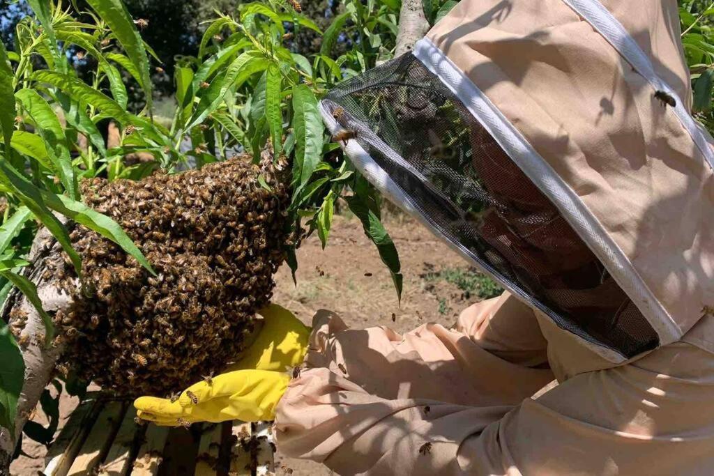 Agriturismo Il Sorbino - Appartamento Da Cocca Pian d'Alma Εξωτερικό φωτογραφία