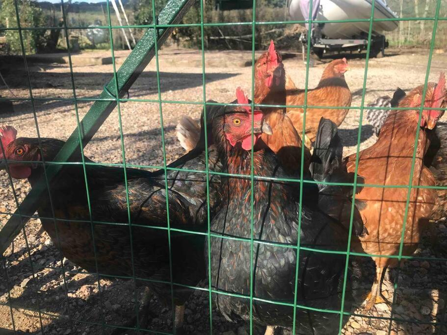 Agriturismo Il Sorbino - Appartamento Da Cocca Pian d'Alma Εξωτερικό φωτογραφία