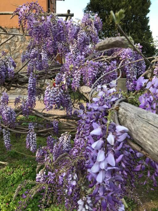 Agriturismo Il Sorbino - Appartamento Da Cocca Pian d'Alma Εξωτερικό φωτογραφία