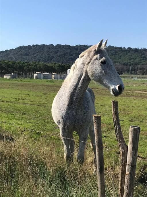 Agriturismo Il Sorbino - Appartamento Da Cocca Pian d'Alma Εξωτερικό φωτογραφία