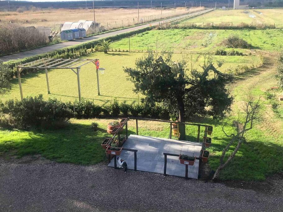 Agriturismo Il Sorbino - Appartamento Da Cocca Pian d'Alma Εξωτερικό φωτογραφία